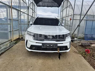 Photo 1 of 13: 2020 Kia Sorento Hybrid, VIN KNARH81GDMA014050 — Korean insurance auction