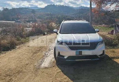Photo 1 of 29: 2020 Kia Carnivals — Korean insurance auction
