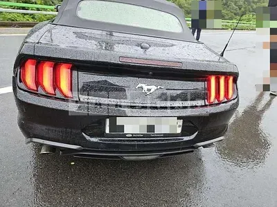 Photo 1 of 9: 2019 Ford Mustang 2.3 Convertible — Korean insurance auction