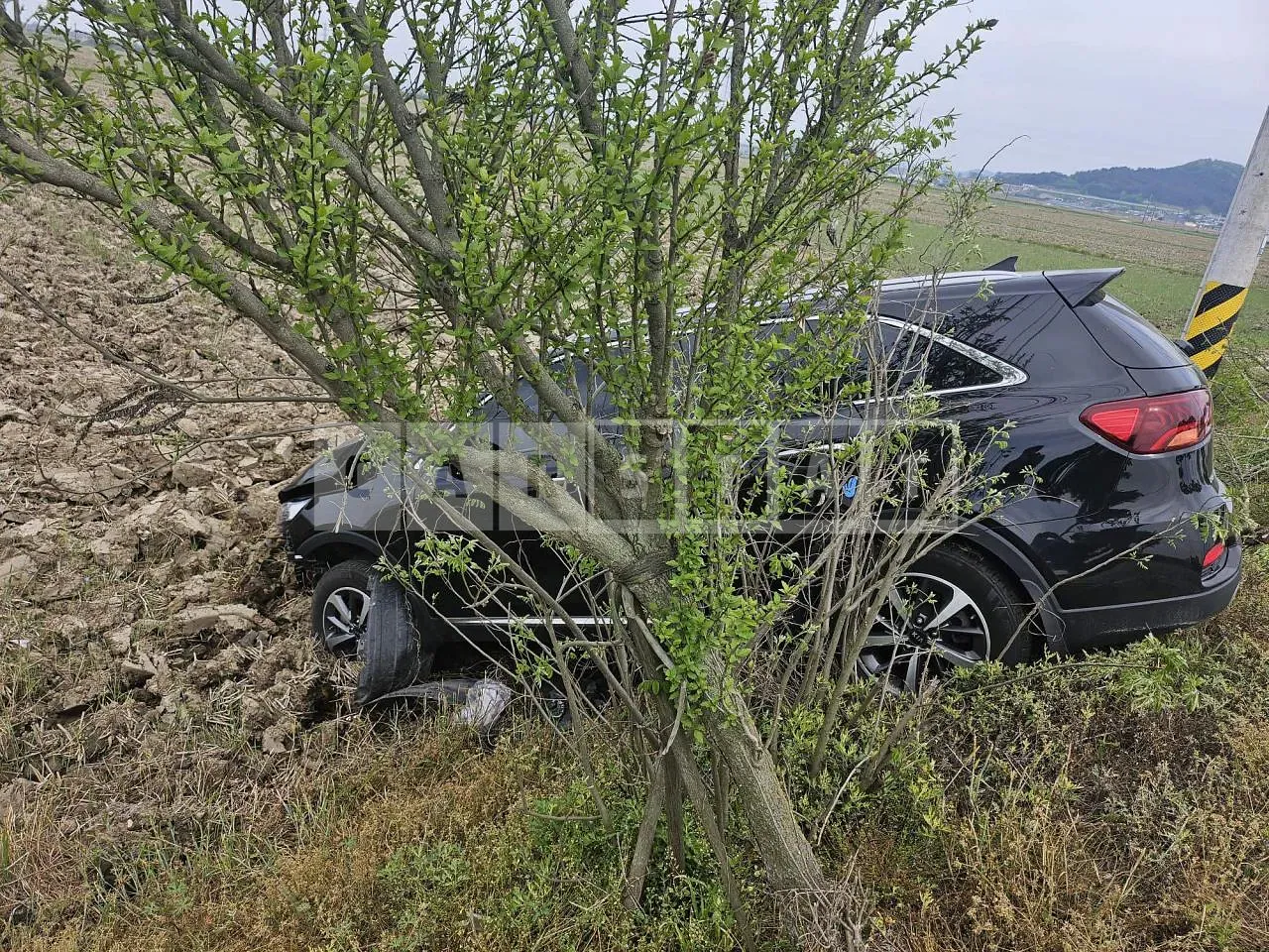 Photo 2 of 20: 2018 Kia Sorento /Sorrento, VIN KNAPG81ABJA448574 — Korean insurance auction