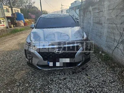 Photo 1 of 18: 2018 Hyundai Santa Fe R2.0 (TM), VIN KMHS281BBKU005106 — Korean insurance auction