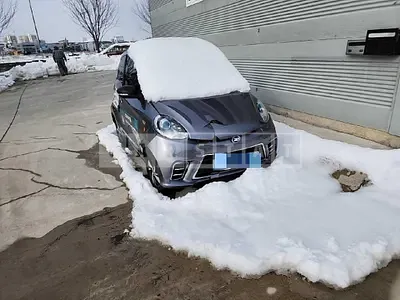 2019 smart ev d2