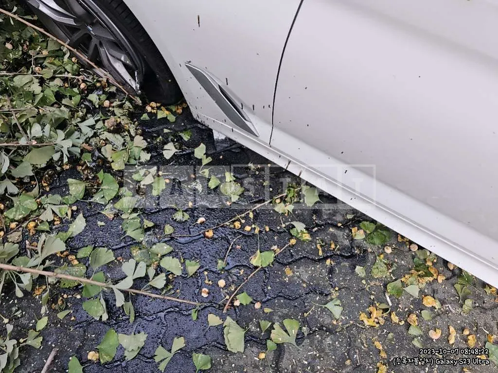 Photo 2 of 29: 2018 BMW 520d, VIN WBAJC3102JDB28228 — Korean insurance auction