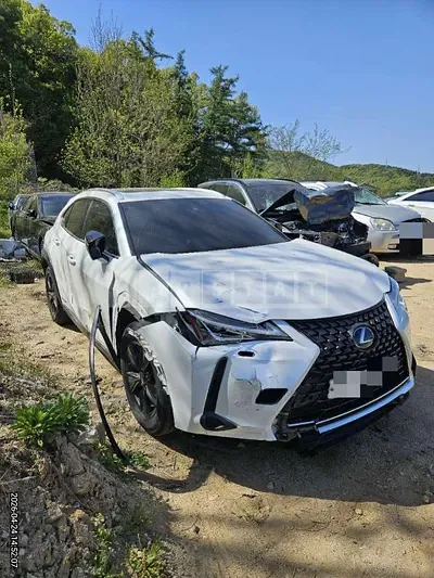 Photo 1 of 18: 2020 Lexus UX250h 2WD — Korean insurance auction