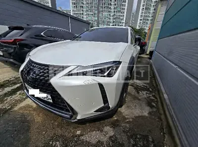 2019 Toyota Lexus UX250h 2WD