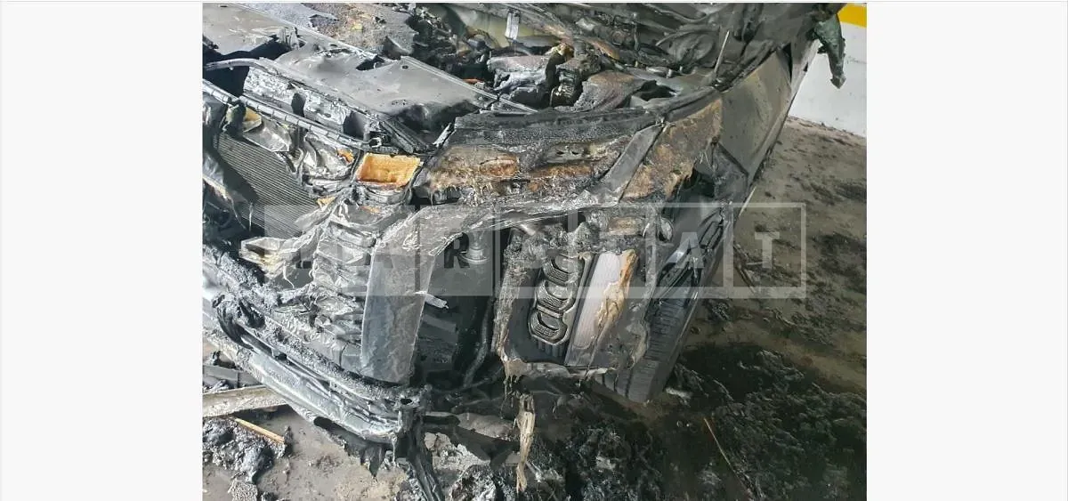 Photo 2 of 5: 2024 Hyundai Palisade 2.2 — Korean insurance auction