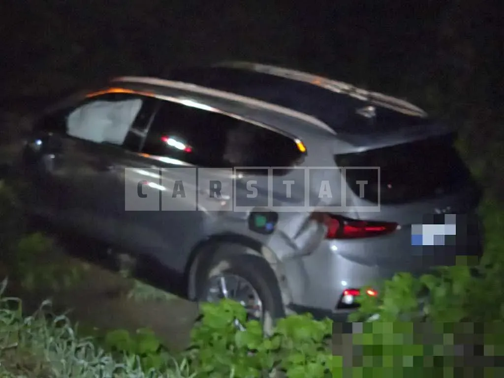 Photo 2 of 14: 2019 Hyundai Santa Fe TM — Korean insurance auction