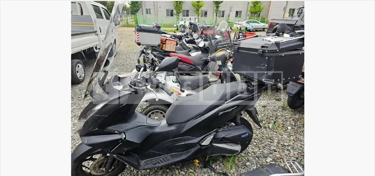 Photo 2 of 8: 2024 Honda (Two-Wheel) WW125A — Korean insurance auction