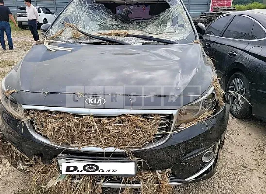 Photo 2 of 16: 2017 Kia Carnival, VIN KNAMC81ABHS281610 — Korean insurance auction