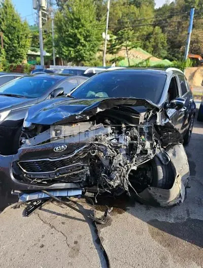 Photo 1 of 16: 2015 Kia Sportage 2.0, VIN KNAPR813BGK011306 — Korean insurance auction