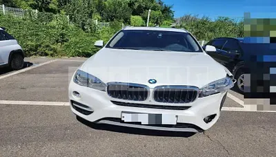 Photo 1 of 31: 2017 BMW X6 xDrive30d — Korean insurance auction