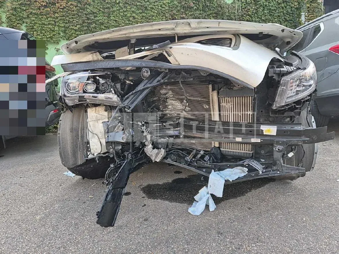 Photo 2 of 10: 2018 Kia Carnivals — Korean insurance auction