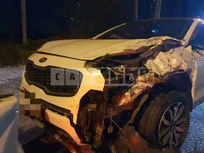Photo 1 of 20: 2017 Kia Sportage 1.7, VIN KNAPN815GHK230937 — Korean insurance auction