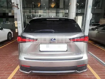 Photo 1 of 45: 2018 Lexus NX300h — Korean insurance auction