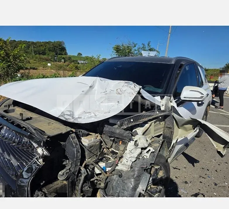 Photo 2 of 11: 2019 Hyundai Palisade — Korean insurance auction