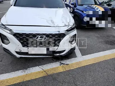 Photo 1 of 19: 2020 Hyundai Santa Fe 2.2 (TM) (2019. May 15 ~) — Korean insurance auction