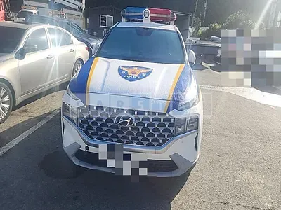 Photo 1 of 30: 2020 Hyundai Santa Fe TM 2.2 (4WD) — Korean insurance auction