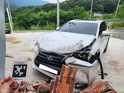 2017 Lexus Lexus NX300h