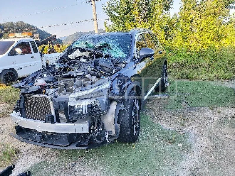 Photo 2 of 10: 2020 Hyundai Santa Fe, VIN KMHS381HGMU345516 — Korean insurance auction