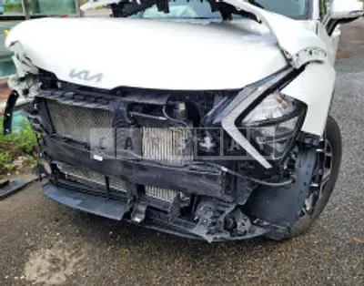 Photo 1 of 35: 2022 Kia Sportage, VIN KNAPT81BGNK081702 — Korean insurance auction