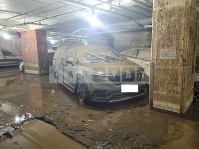 Photo 1 of 11: 2021 Kia Carnival, VIN KNHNB37BBMS049575 — Korean insurance auction
