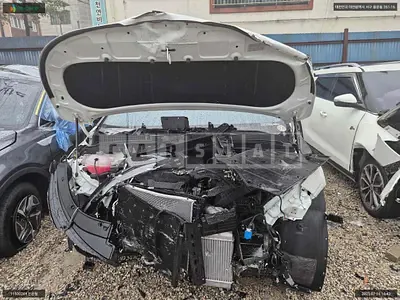 Photo 1 of 19: 2025 Kia Carnival, VIN KNANE81BBSS542509 — Korean insurance auction