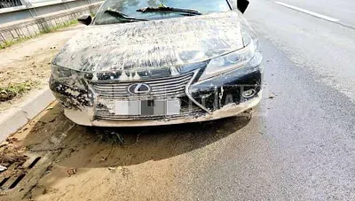 Photo 1 of 8: 2015 Lexus Subxus ES300h — Korean insurance auction