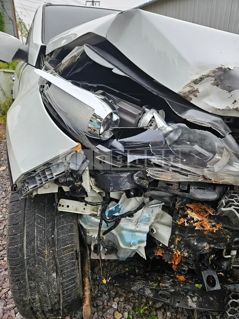 Photo 2 of 19: 2014 Kia Sportage R — Korean insurance auction