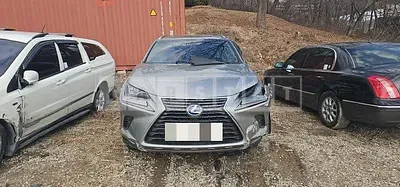 Photo 1 of 18: 2018 Lexus NX300h — Korean insurance auction
