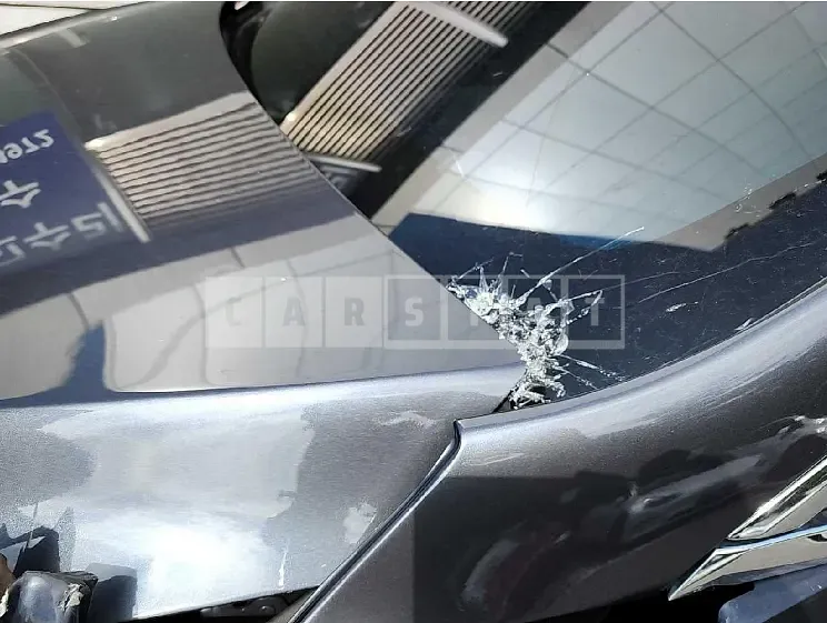Photo 2 of 12: 2019 Tesla Model X100d, VIN 5YJXCDE22KF156018 — Korean insurance auction