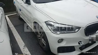Photo 1 of 40: 2016 BMW X1 xDrive20d — Korean insurance auction