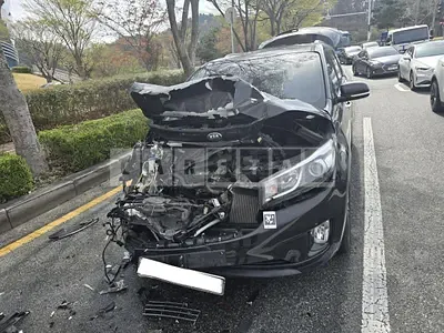 Photo 1 of 14: 2015 Kia Carnival, VIN KNHMF37ABGS170047 — Korean insurance auction