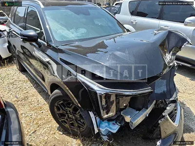 2025 Sorento Sorento hybrid