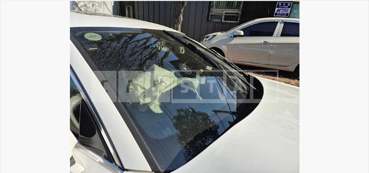 Photo 2 of 16: 2015 Audi A7 55 TDI quattro — Korean insurance auction