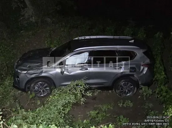 Photo 2 of 14: 2019 Hyundai Santa Fe — Korean insurance auction