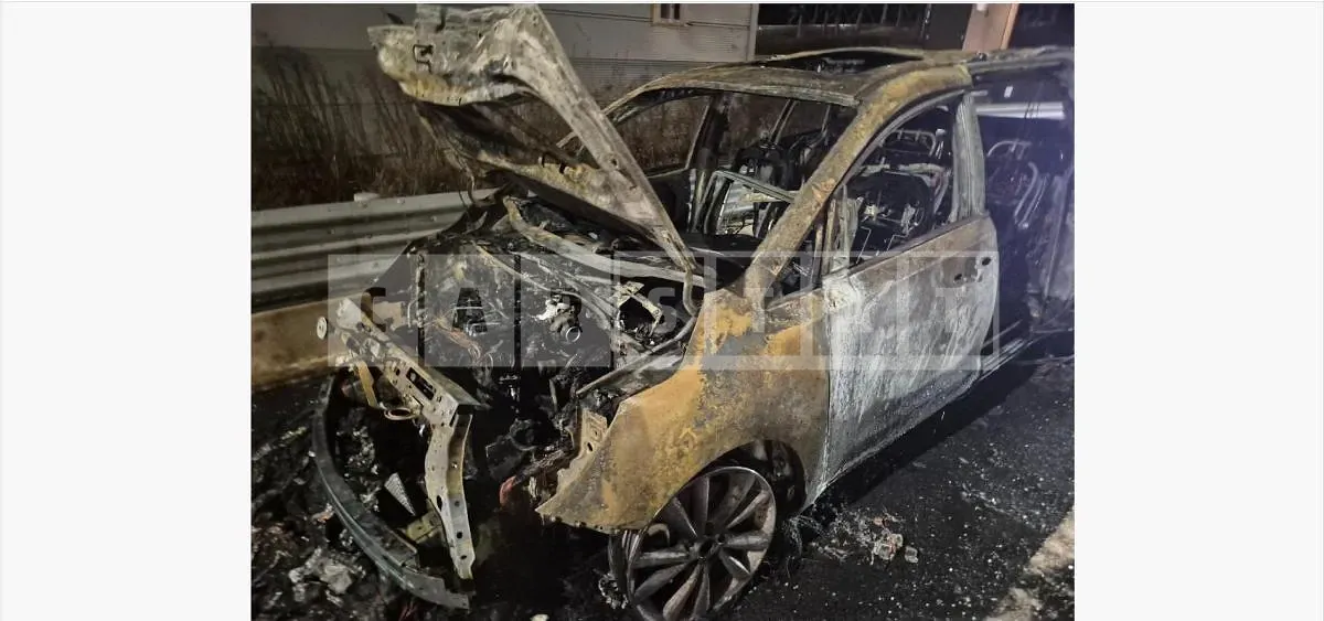Photo 2 of 12: 2019 Kia Carnivals — Korean insurance auction