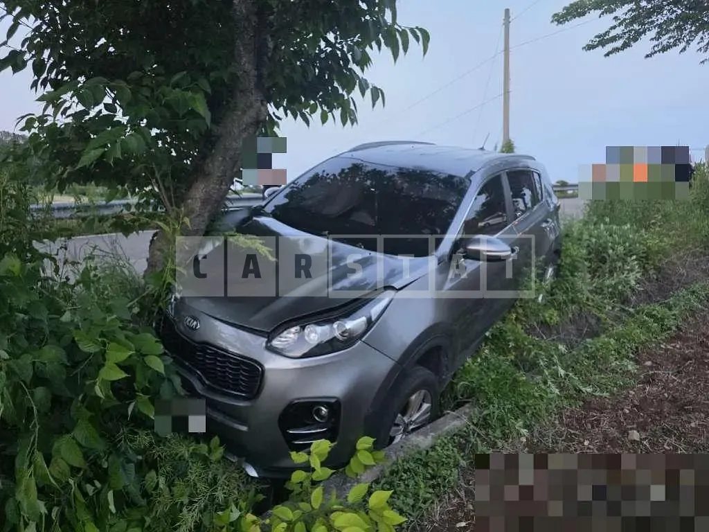 Photo 2 of 4: 2016 Kia Sportage — Korean insurance auction