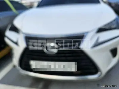 Photo 1 of 9: 2019 Lexus NX300h — Korean insurance auction