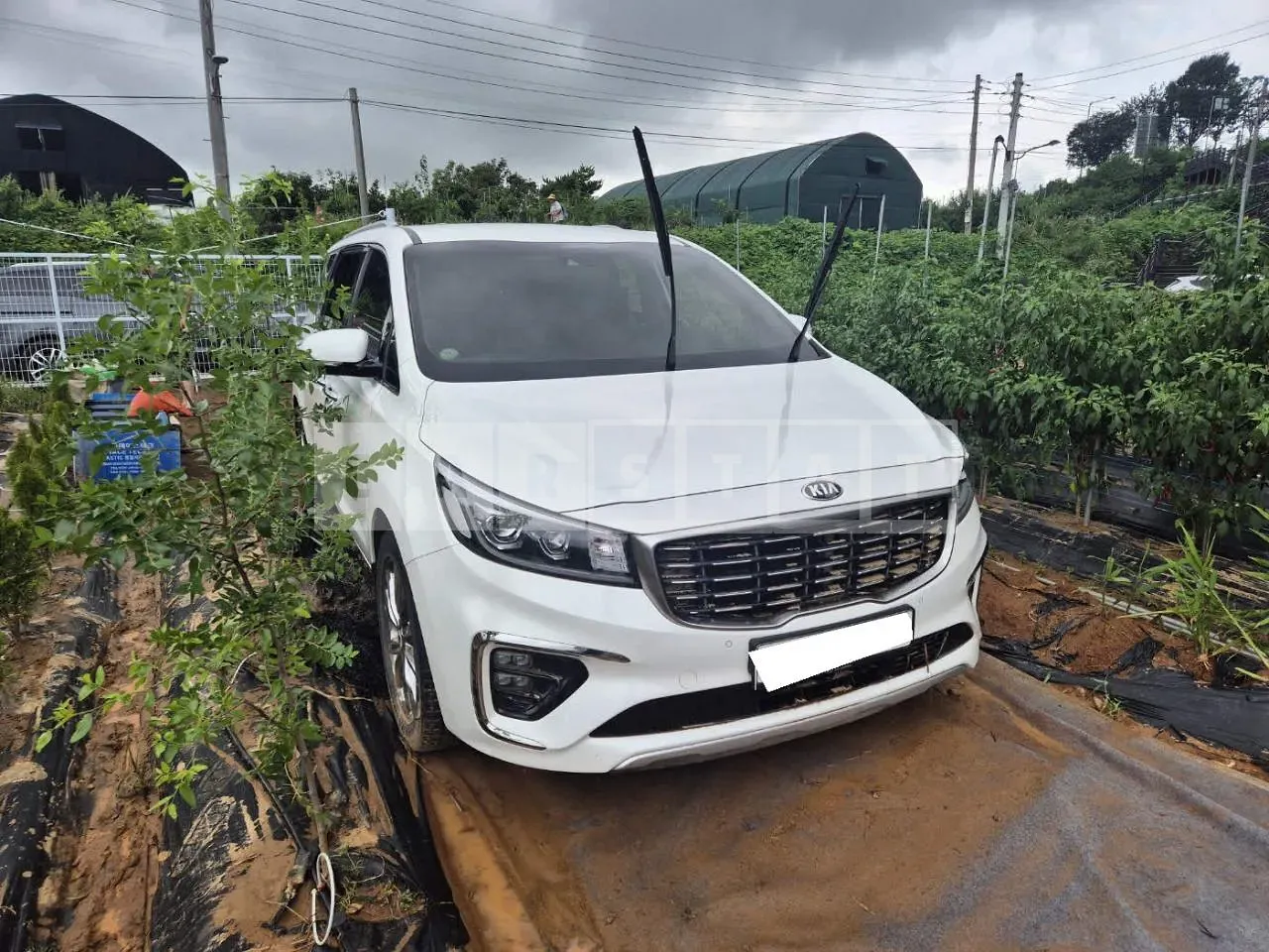 Photo 2 of 18: 2019 Kia Carnival, VIN KNAMC81ABKS610221 — Korean insurance auction