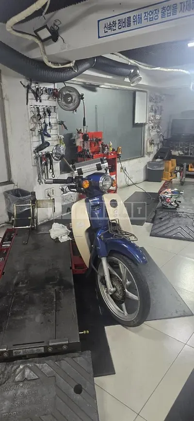 Photo 1 of 4: 2019 Honda (Two-Wheel) Super Curve — Korean insurance auction