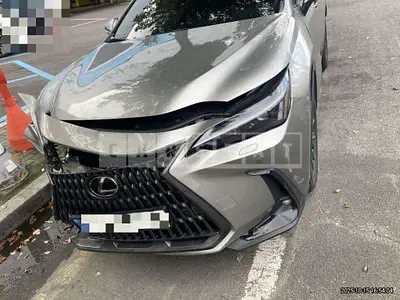 2024 Lexus NX450h