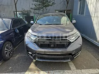 Photo 1 of 13: 2019 Honda CR-V 2WD — Korean insurance auction