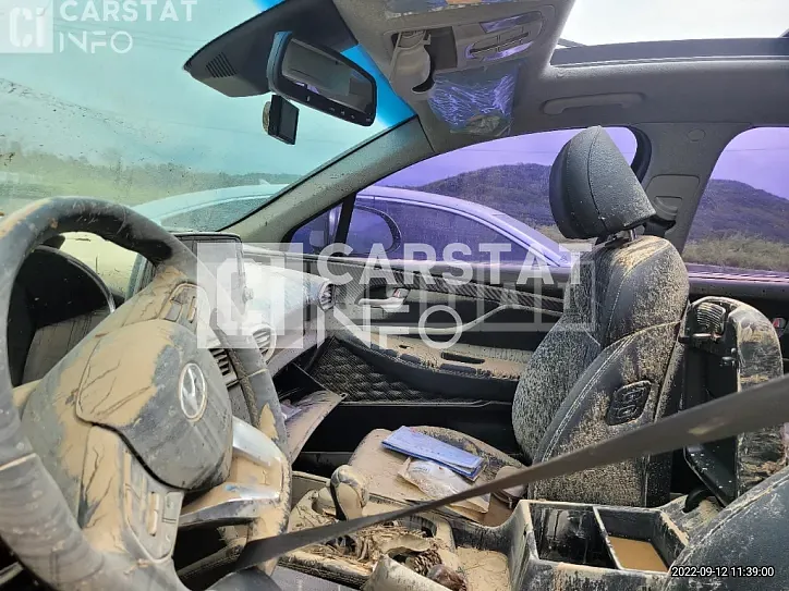 Photo 2 of 10: 2018 Hyundai Calm Santa Fe 2.2 — Korean insurance auction