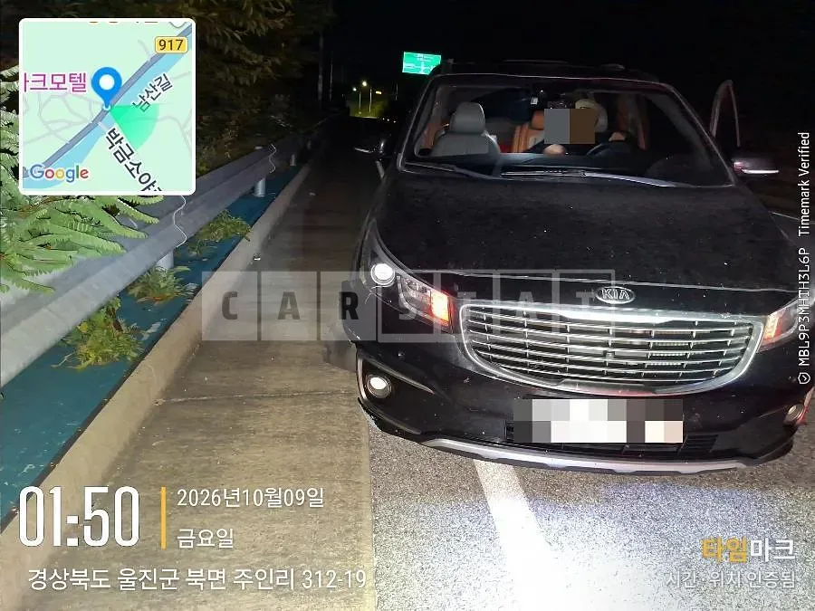 Photo 2 of 12: 2016 Kia Carnival 9 Seater — Korean insurance auction