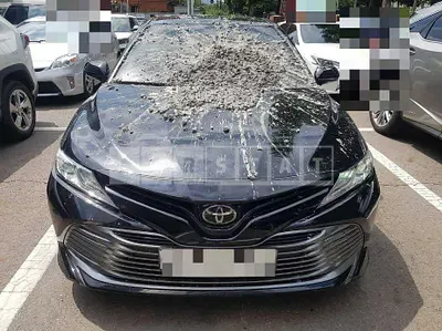 Photo 1 of 11: 2019 Toyota Camry, VIN JTNB11HK8K3088732 — Korean insurance auction