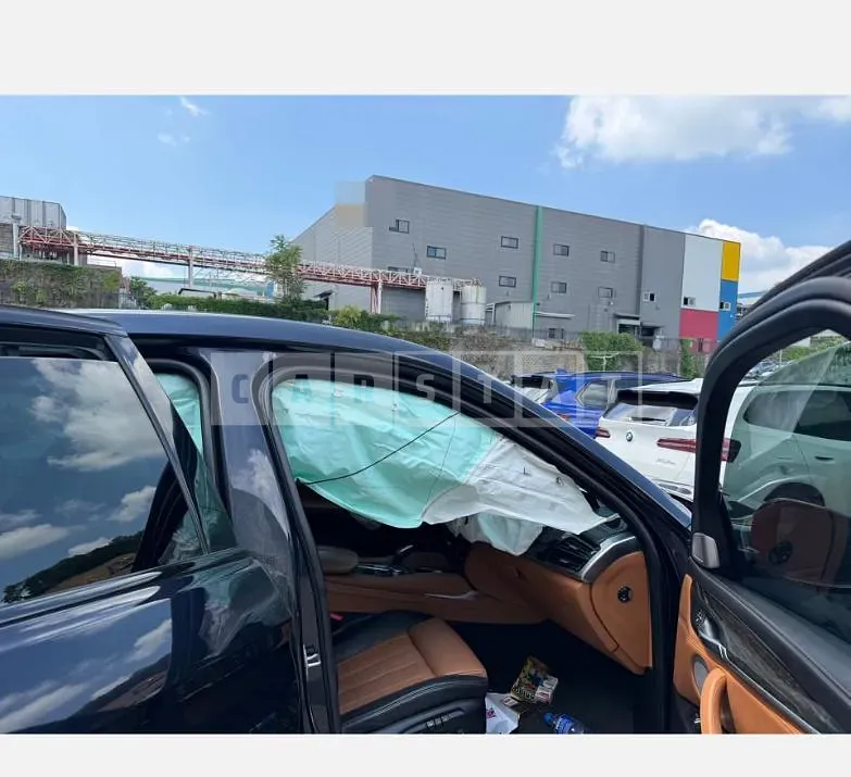 Photo 2 of 26: 2019 BMW X6 M50d WLTP — Korean insurance auction