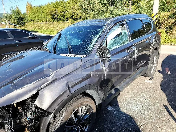 Photo 2 of 11: 2019 Hyundai Santa Fe, VIN KMHS281BBKU157211 — Korean insurance auction
