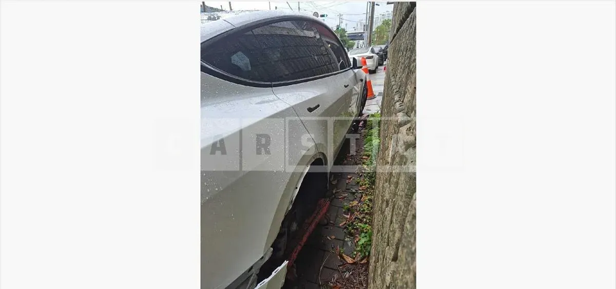 Photo 2 of 46: 2025 Tesla Model Y RWD — Korean insurance auction