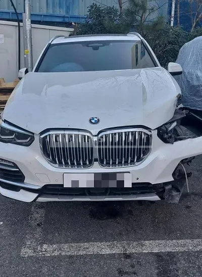 Photo 1 of 69: 2019 BMW X5 xDrive30d Xline — Korean insurance auction