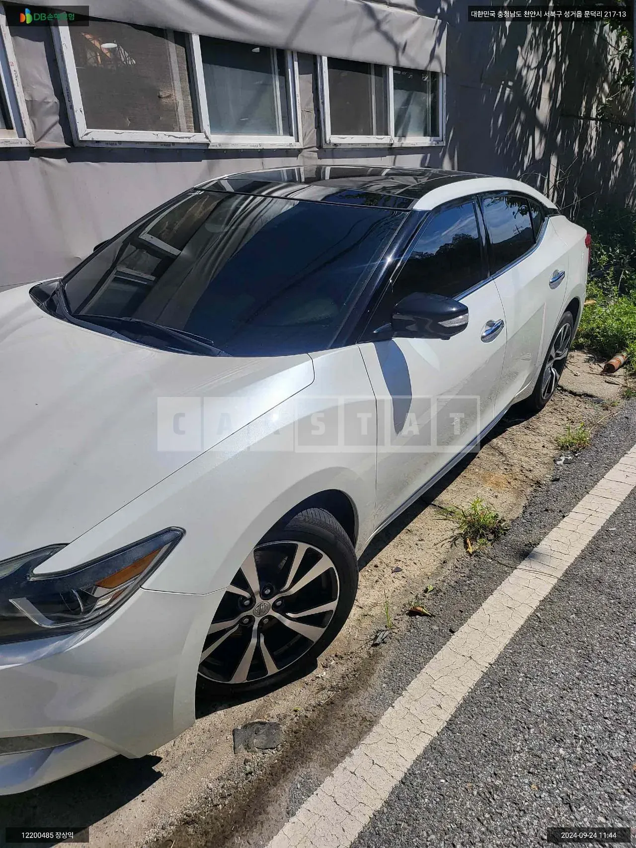 Photo 2 of 16: 2016 Nissan Maxima, VIN 1N4AA6AP8GC439591 — Korean insurance auction